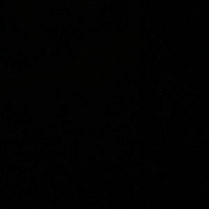 Meet your Posher, Leilani